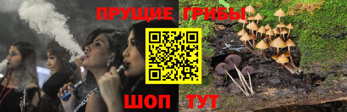 Галлюциногенные грибы Psilocybine cubensis  как найти наркотики  Керчь  Вход с VPN 